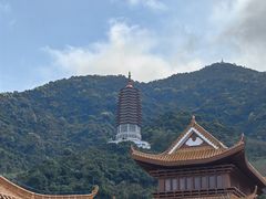 -深圳仙湖植物园