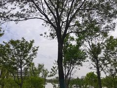-西安世博园