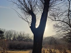 -国家植物园南园