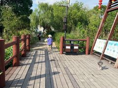 -长兴太湖图影湿地文化园