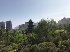 -迎泽公园