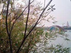 -五缘湾湿地公园