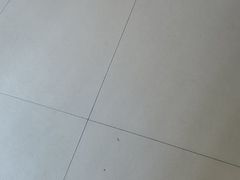 -巢爷老味(东方红店)