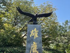 -南京老山国家森林公园