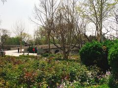 -赵州桥景区