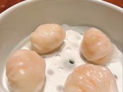 虾饺皇-粤界(望京金辉店)