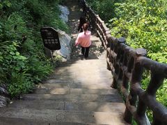 -仙岛湖旅游风景区
