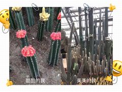 -白鹤梁水下博物馆