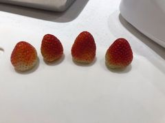 -ABC Cooking Studio(北京颐堤港店)