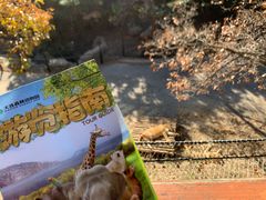 -大连森林动物园