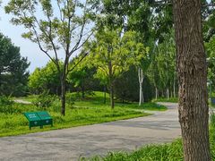 -东郊湿地公园
