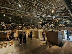 -世界恐龙谷景区