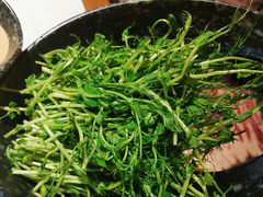 -哥老官重庆美蛙鱼头(宝山龙湖店)