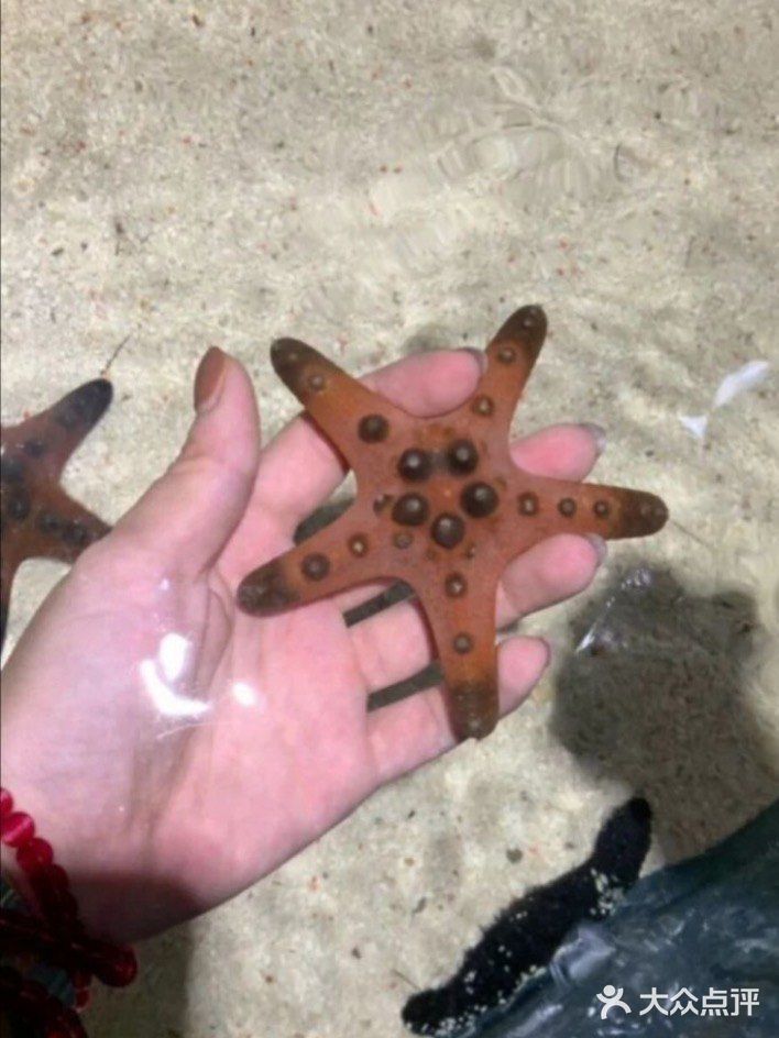 与萌宠的亲密接触,只要138元