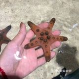 与萌宠的亲密接触，只要138元