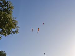 -汉长安城未央宫国家考古遗址公园