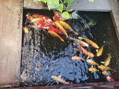 -湖鲜楼