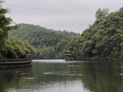 -江西阳明山国家森林公园