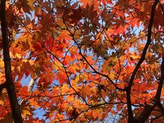 -丹东天桥沟景区