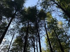 -艾溪湖湿地公园