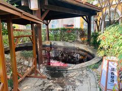 -杭州第一世界大酒店·云曼温泉