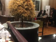 -庆泰顺