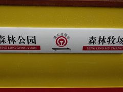 -莫尔道嘎国家森林公园