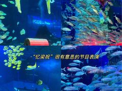-正佳极地海洋世界