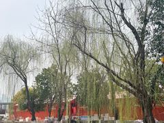 -武汉园博园(武汉自然博物馆)