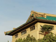 -武汉大学-樱园