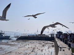 -星海广场