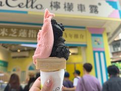 -柠檬车露(卖草地店)