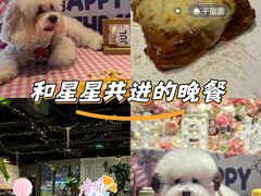 -百好乐宠物友好餐厅(朝外大街店)
