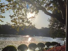-荔湾湖公园