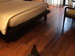 -上海崇明金茂凯悦酒店