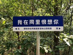 -同里国家湿地公园
