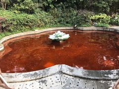 -杭州第一世界大酒店·云曼温泉