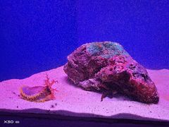 -上海海洋水族馆