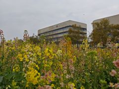 -三圣花乡旅游区