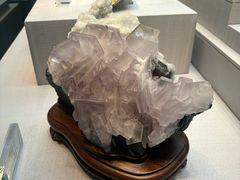 -湖南省地质博物馆