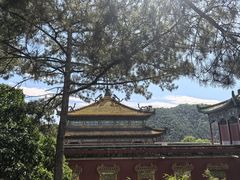 -华夏良子·足道SPA艾灸(王府井店)