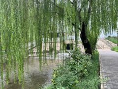 -元大都城垣遗址公园