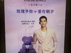-ROSEONLY诺誓(国际广场购物中心店)