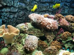 -北戴河圣蓝海洋公园