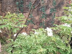 -洛阳市隋唐城遗址植物园