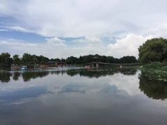 -荷塘月色湿地公园·向阳花洲