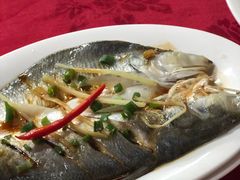 -蛇口康乐快餐鱼仔档(翠苑小区店)
