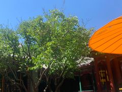 -宫事颐庭·老佛爷贵寿下午茶(颐和园店)