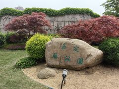 -嘉定紫藤园