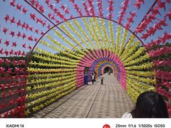 -中国西峡恐龙遗迹园